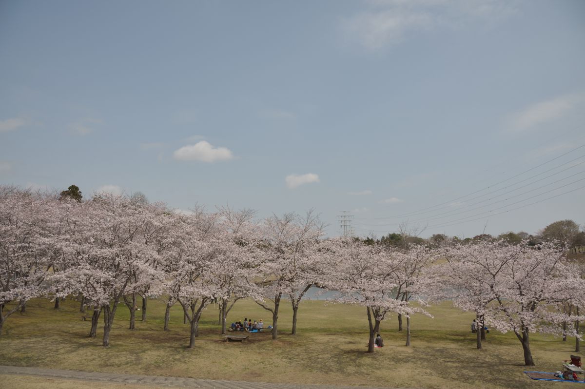 科学万博記念公園