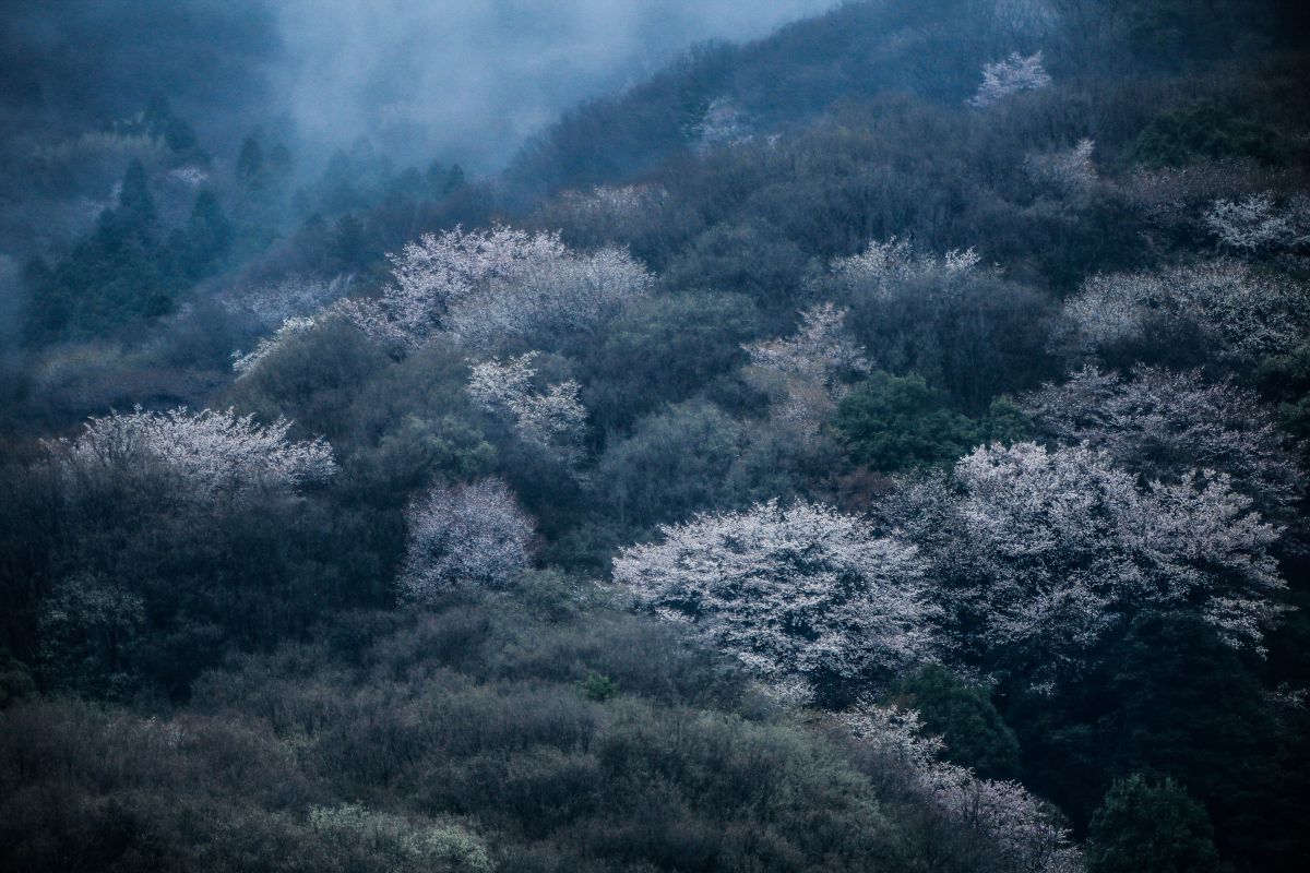 霞ヶ浦（茨城県）