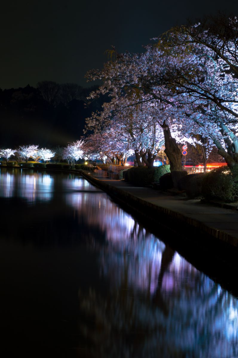 千波湖（茨城県）