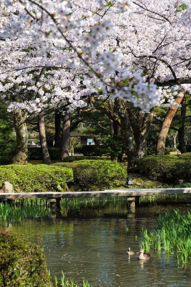 兼六園（石川県）