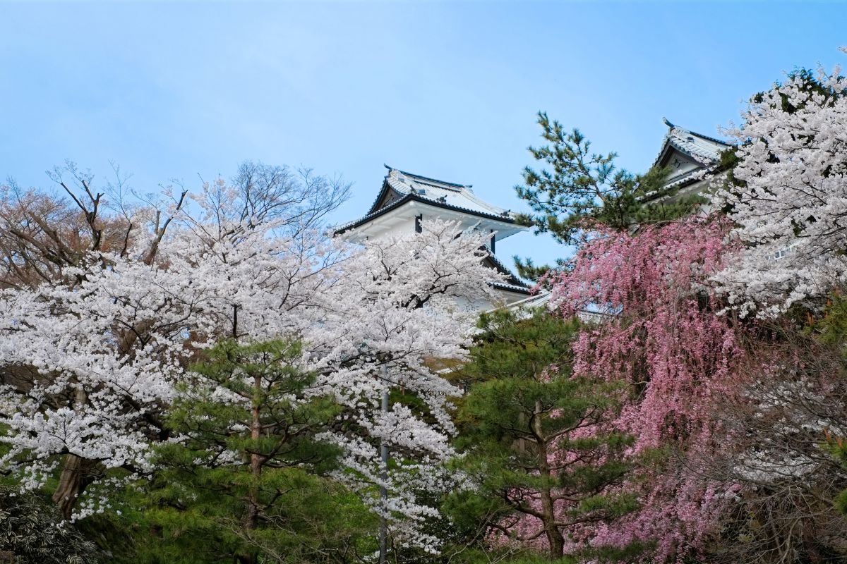 金沢城（石川県）