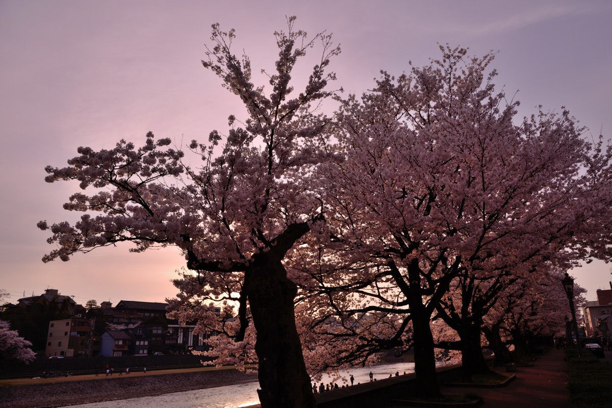 犀川（石川県）