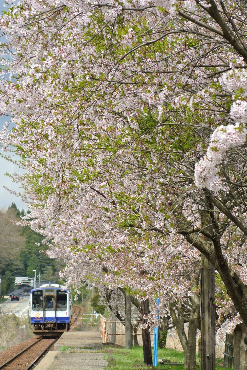 のと鉄道（石川県）