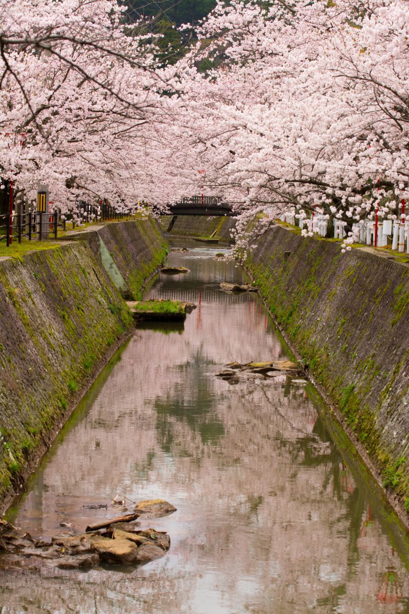 熊坂川