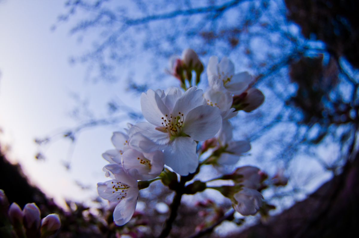 山中温泉