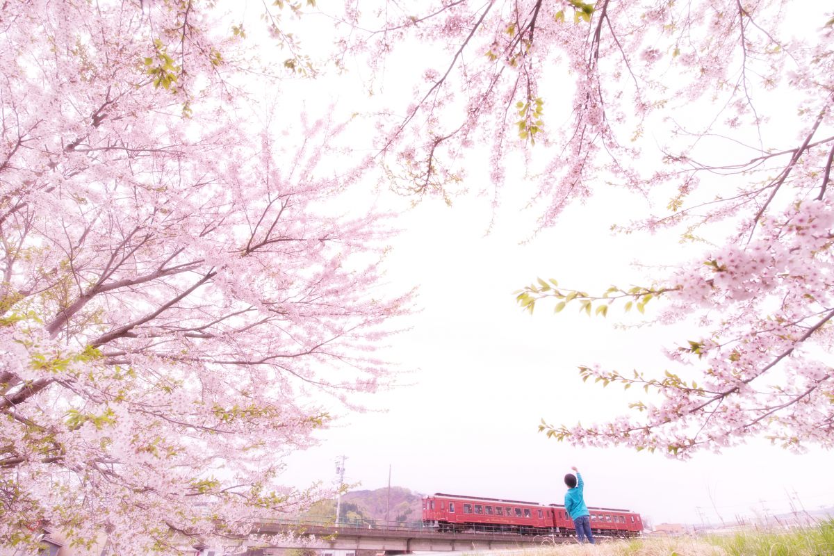 三陸鉄道（岩手県）