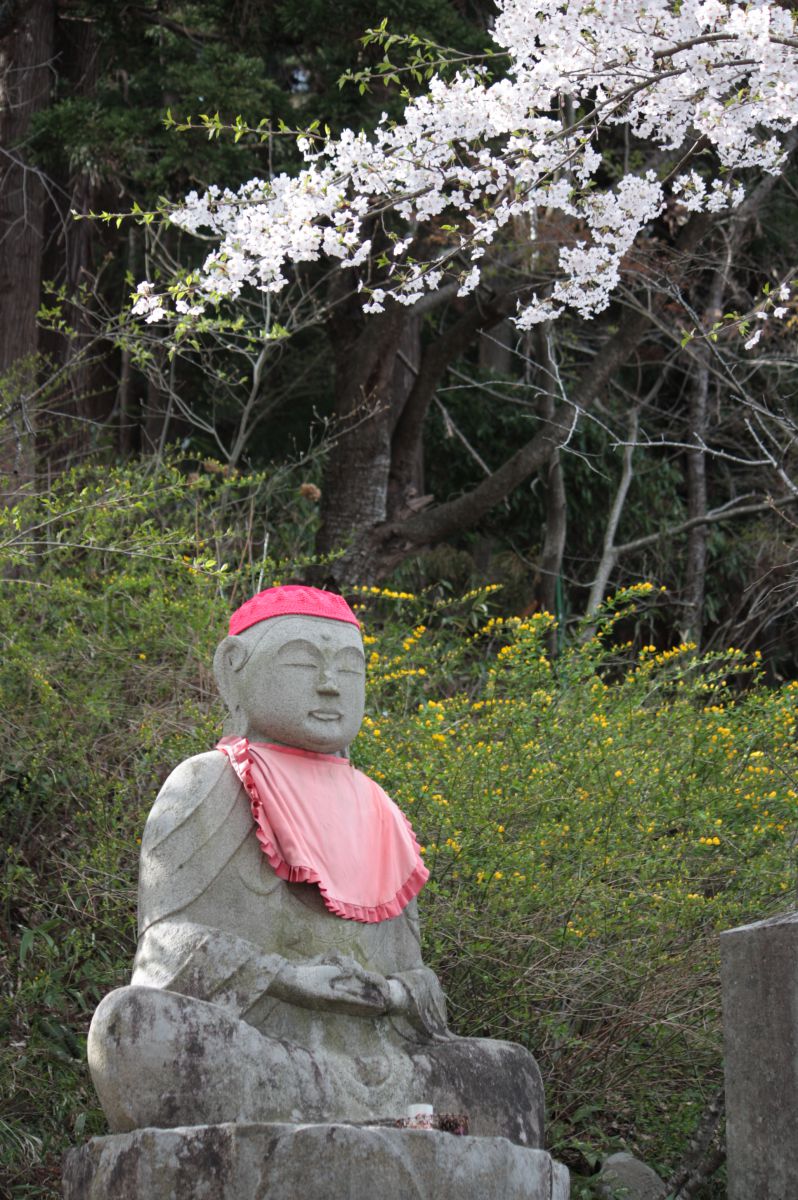 中尊寺（岩手県）