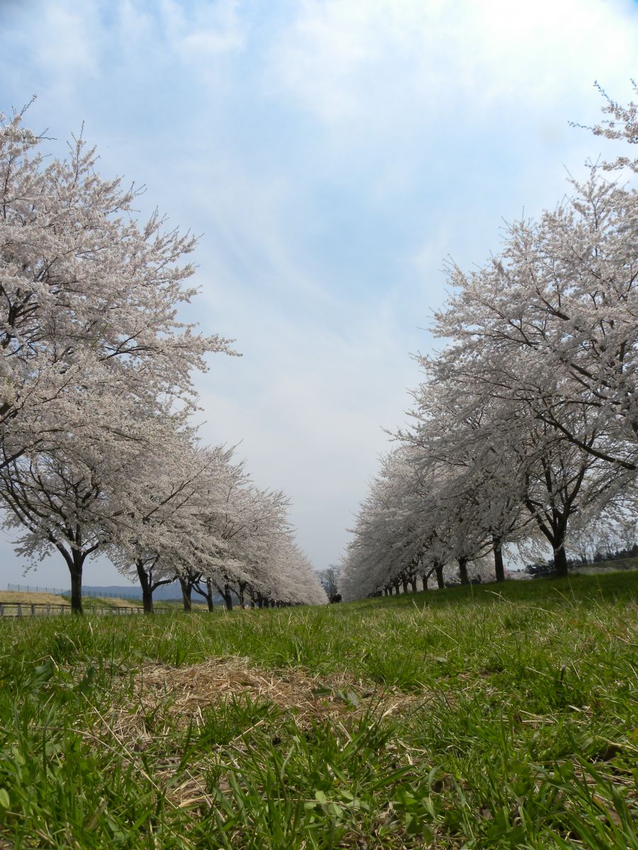 水沢競馬場（岩手県）