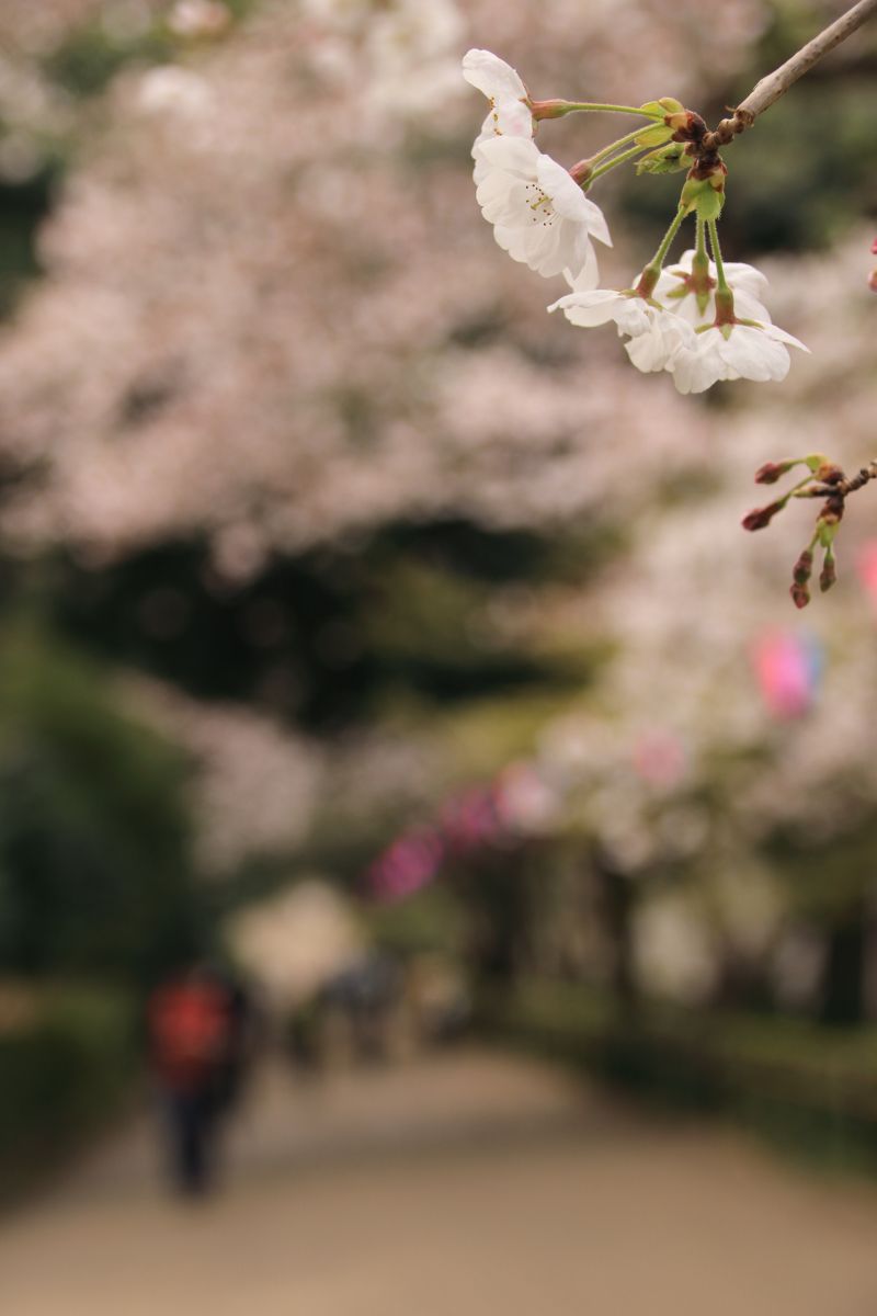 丸亀城（香川県）