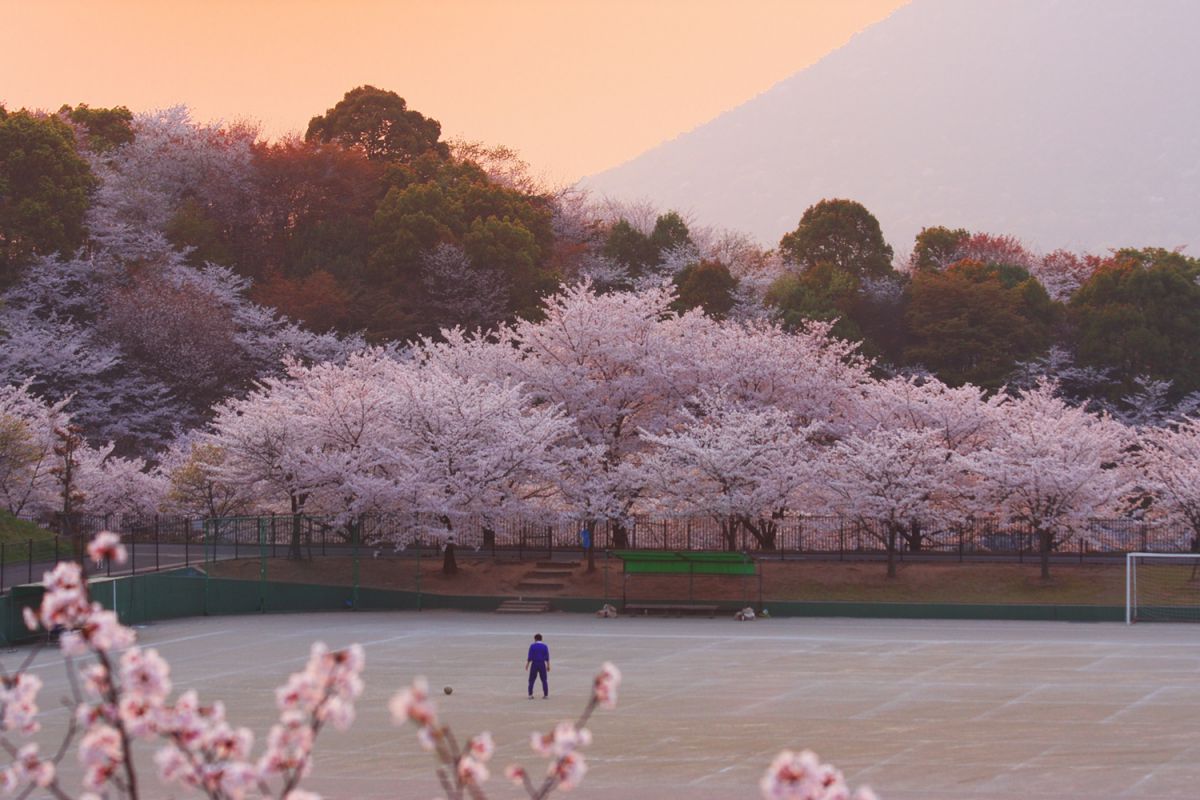 飯野山