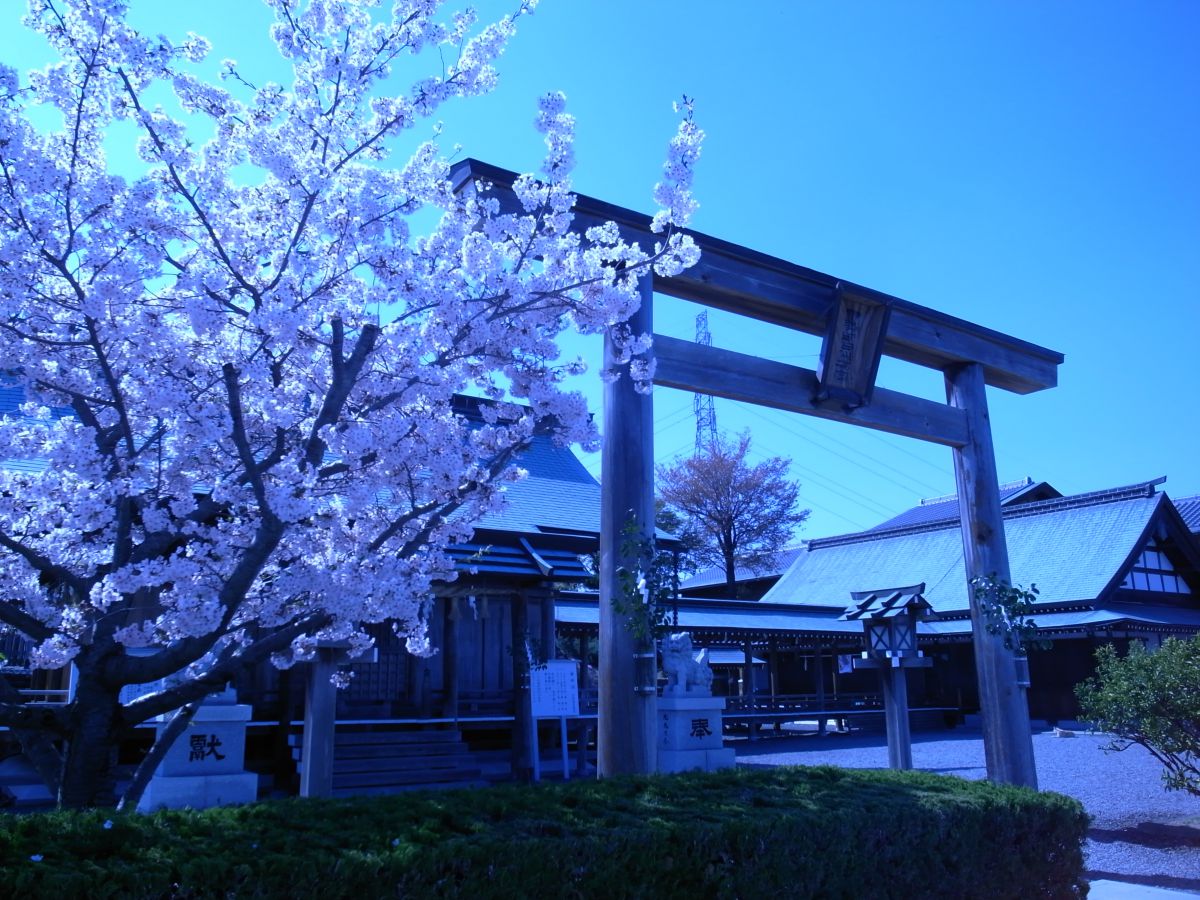 朝日山森林公園