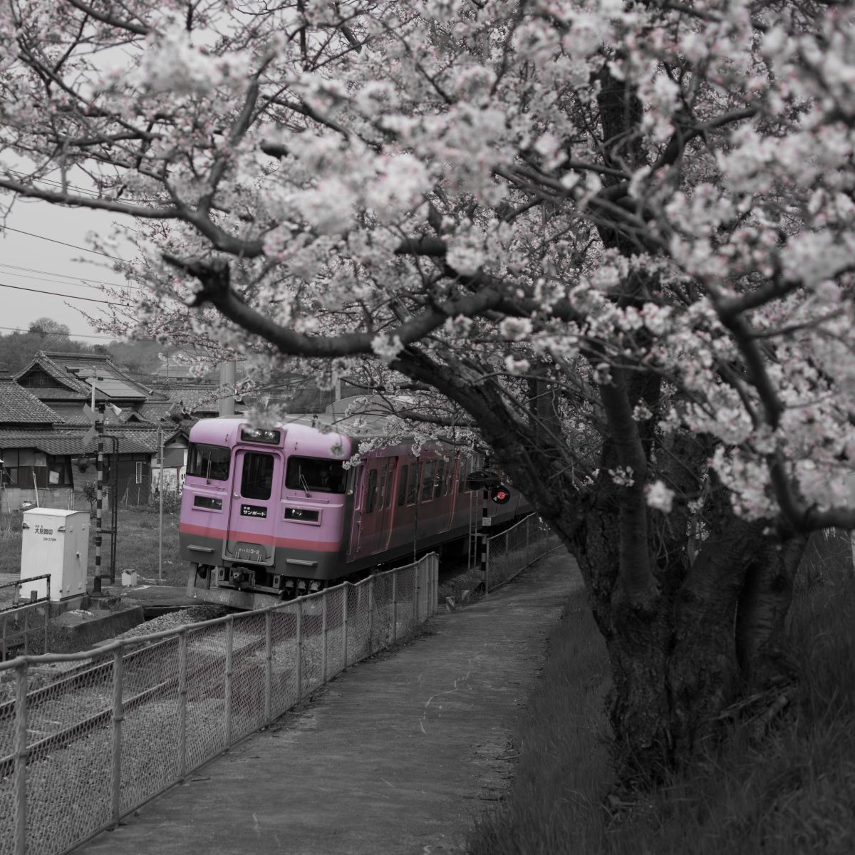 津嶋神社