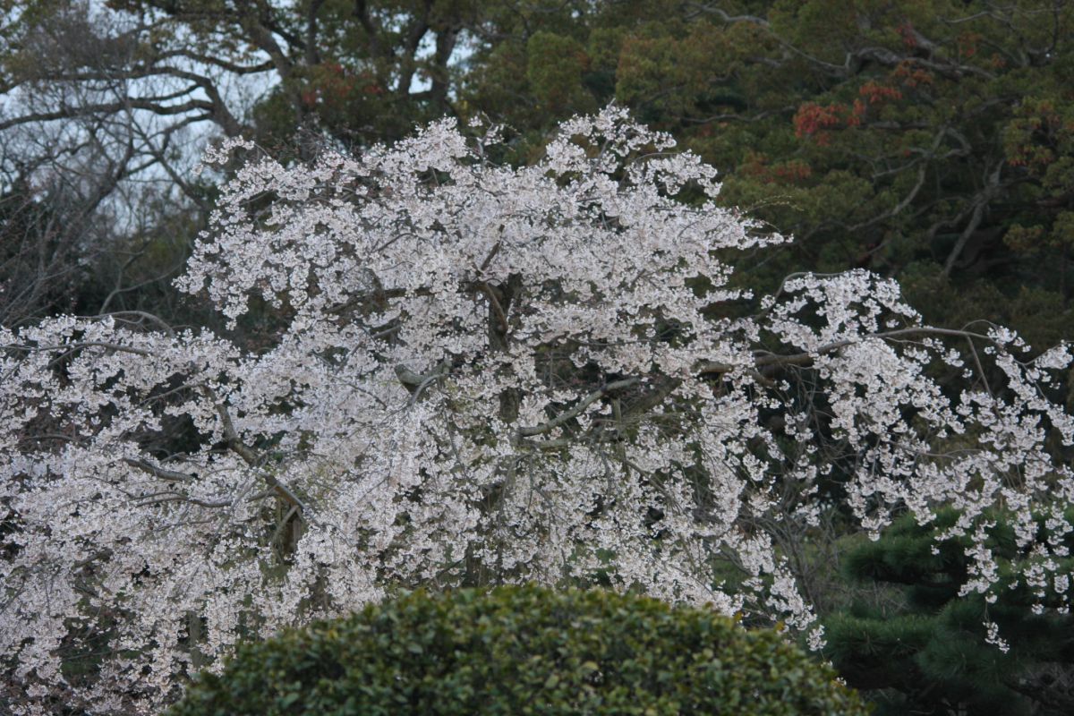 仏生山公園（香川県）