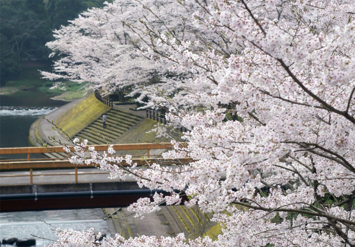 吾平山（鹿児島県）