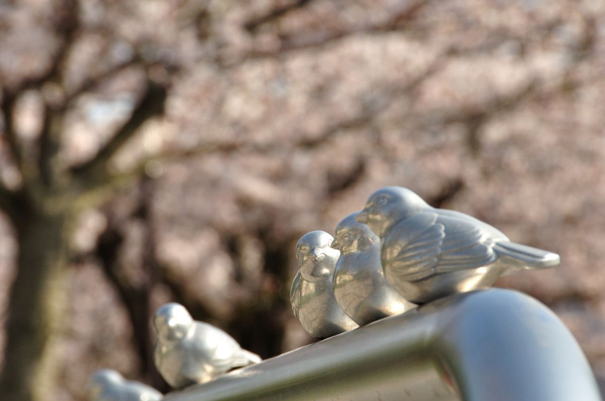 甲突川（鹿児島県）