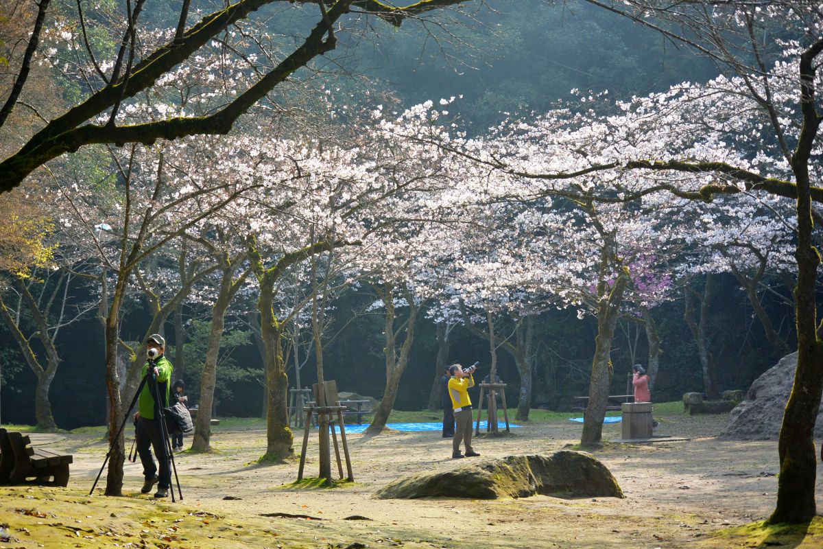 慈眼寺公園（鹿児島県）