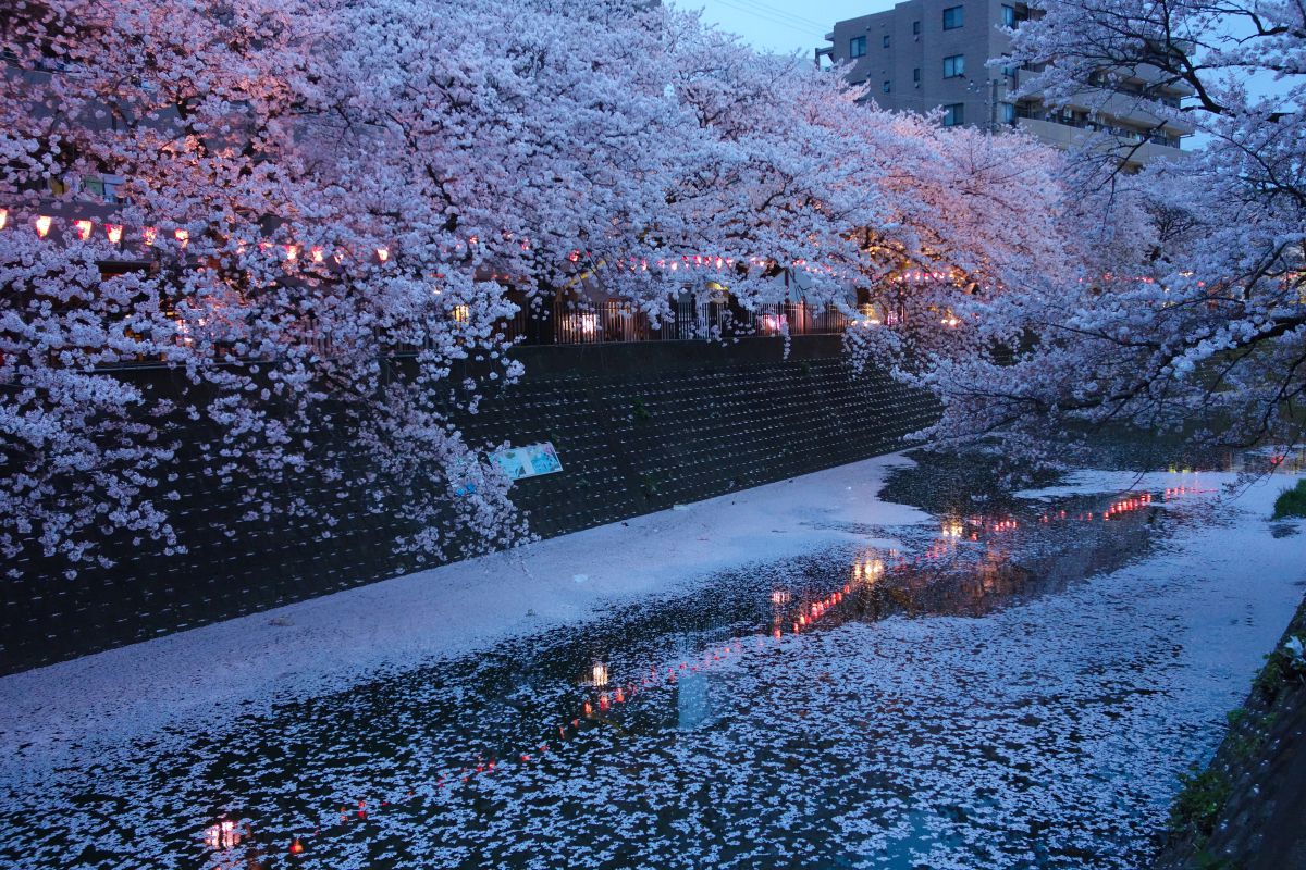 大岡川（神奈川県）
