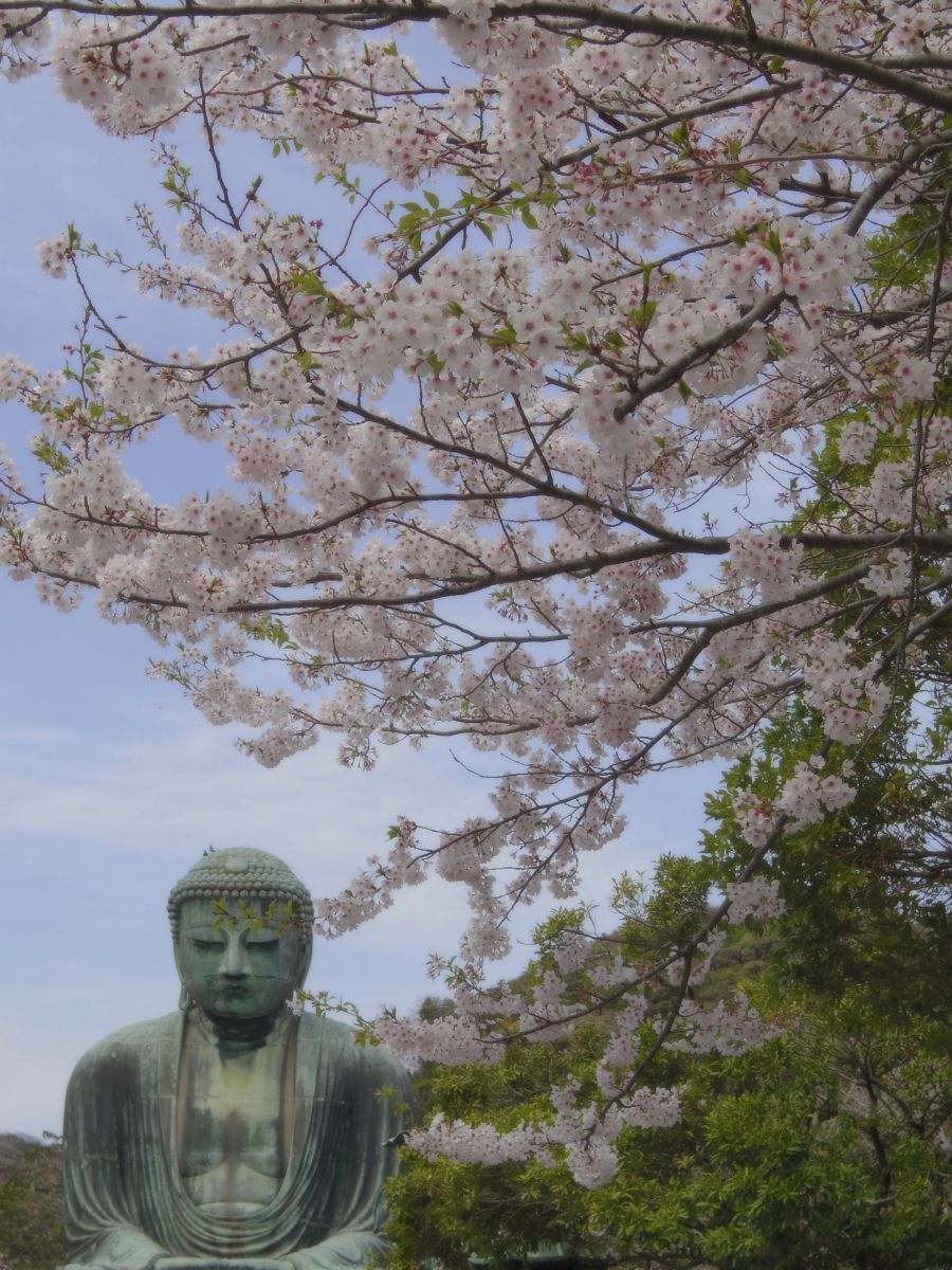 鎌倉大仏（神奈川県）