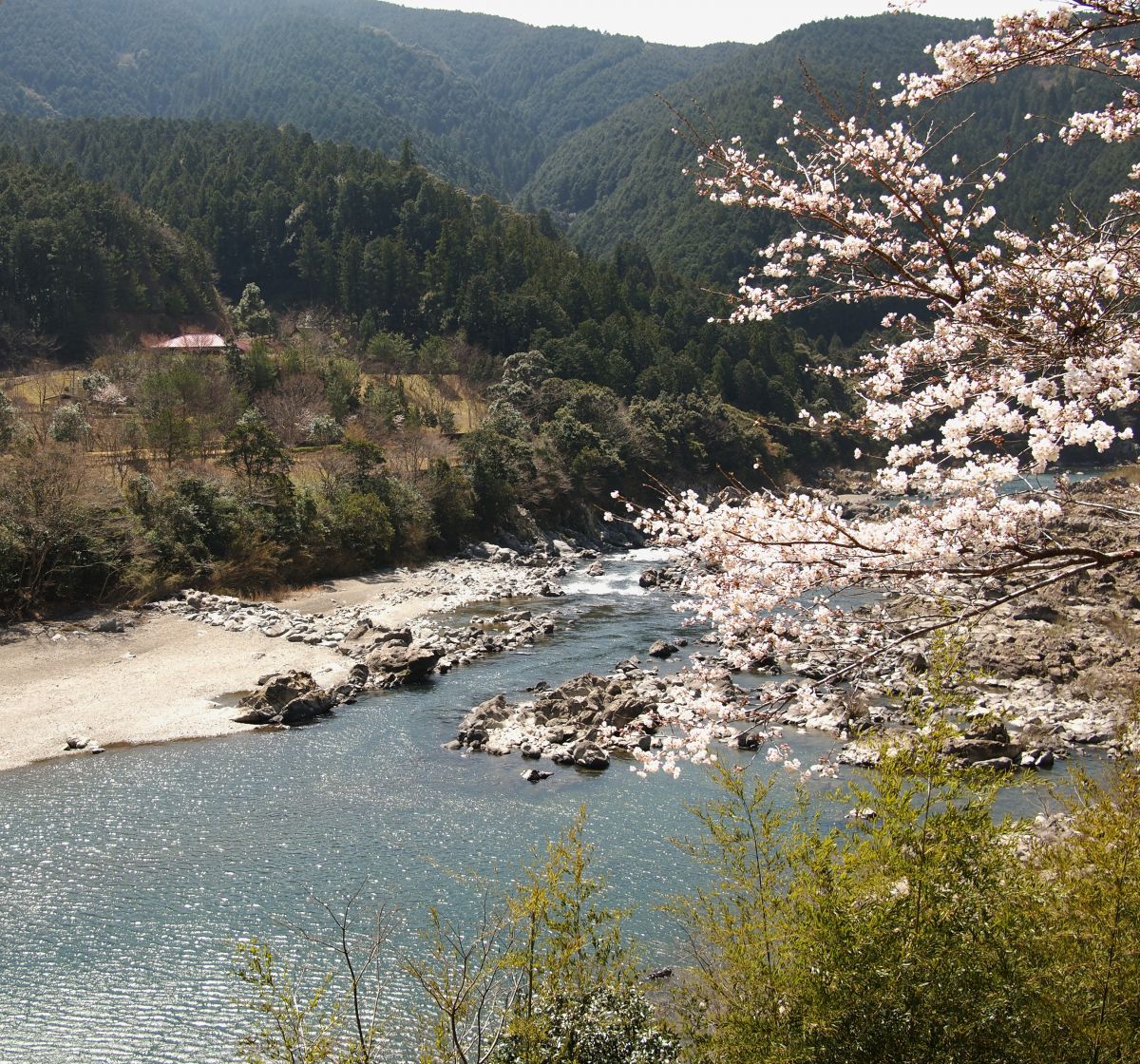 四万十川（高知県）