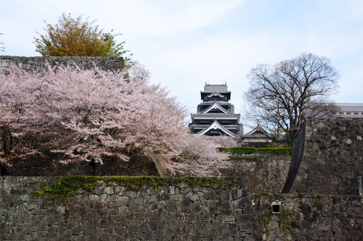 熊本城（熊本県）