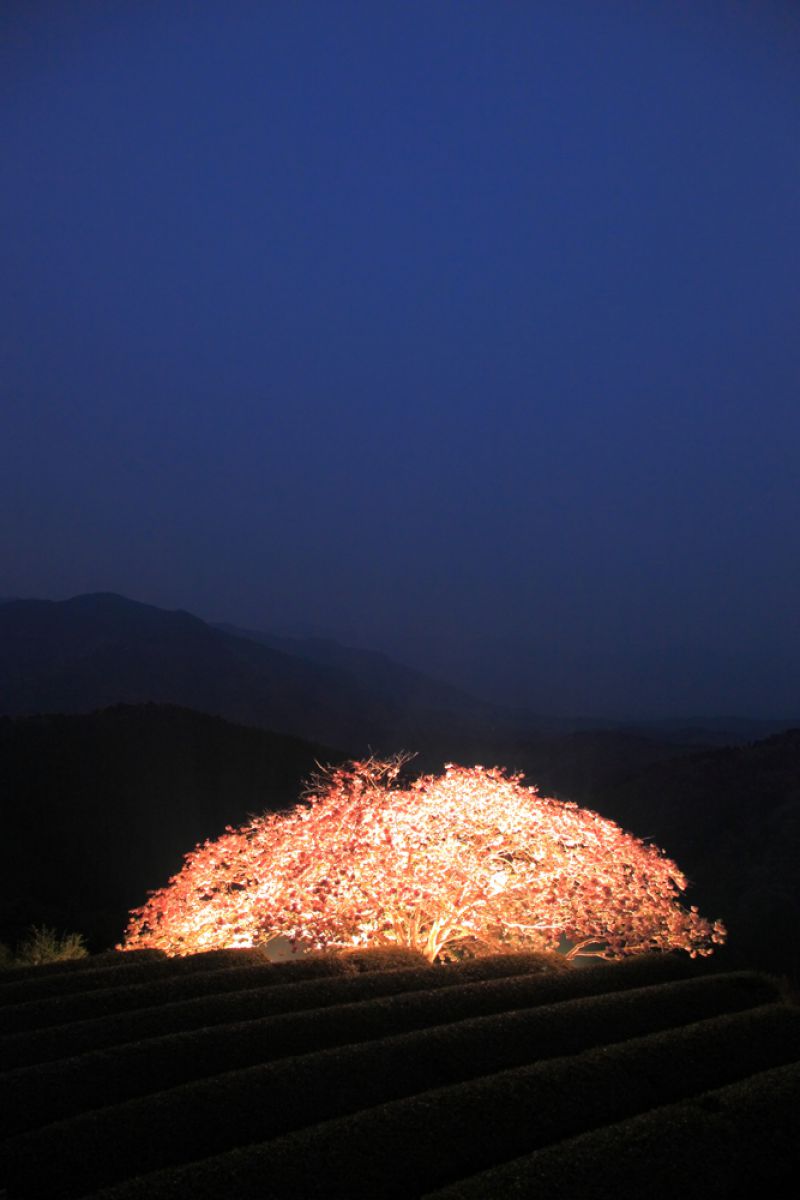 遠山桜