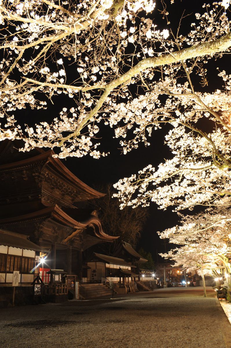 阿蘇神社（熊本県）