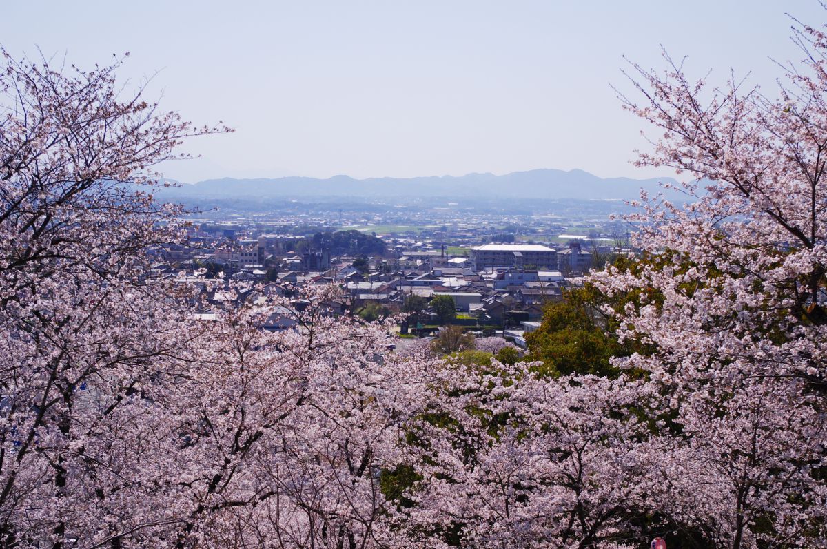 菊池公園（熊本県）