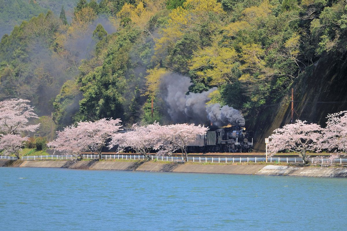 球磨川（熊本県）