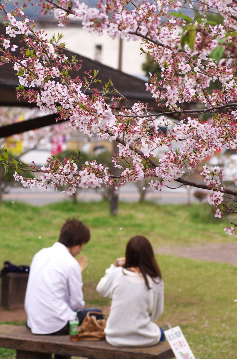 立岡自然公園（熊本県）