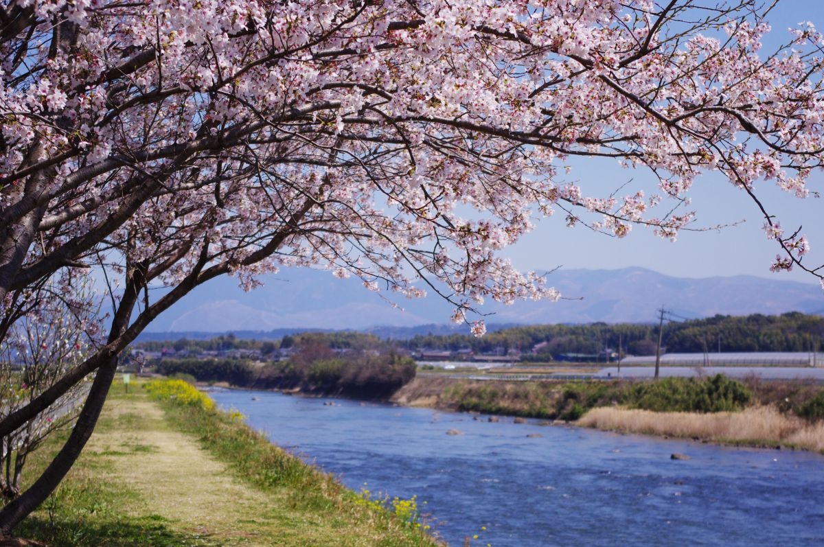 白川