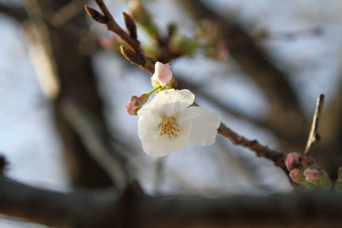 妙泉寺公園（熊本県）