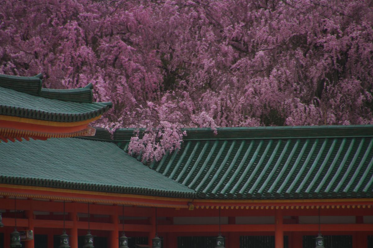 平安神宮（京都府）