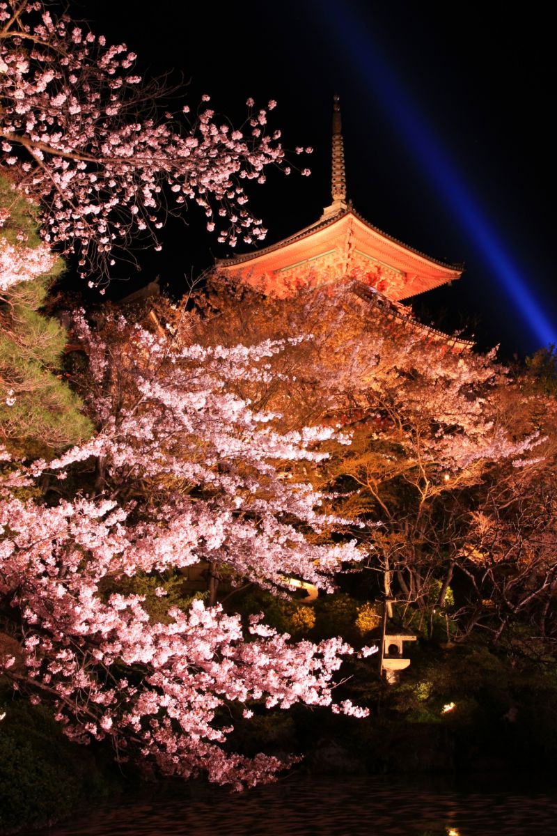 清水寺（京都府）