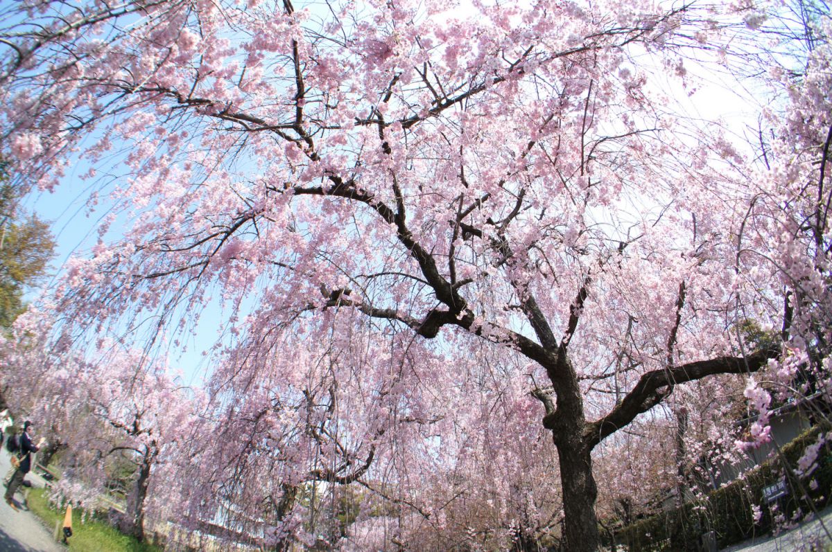 二条城（京都府）