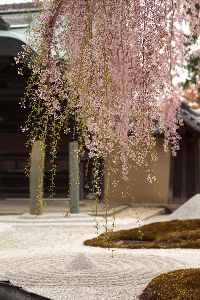 高台寺（京都府）