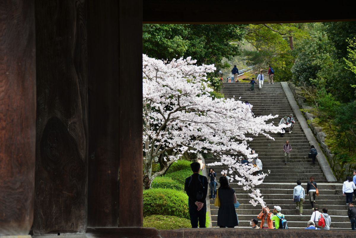 知恩院（京都府）