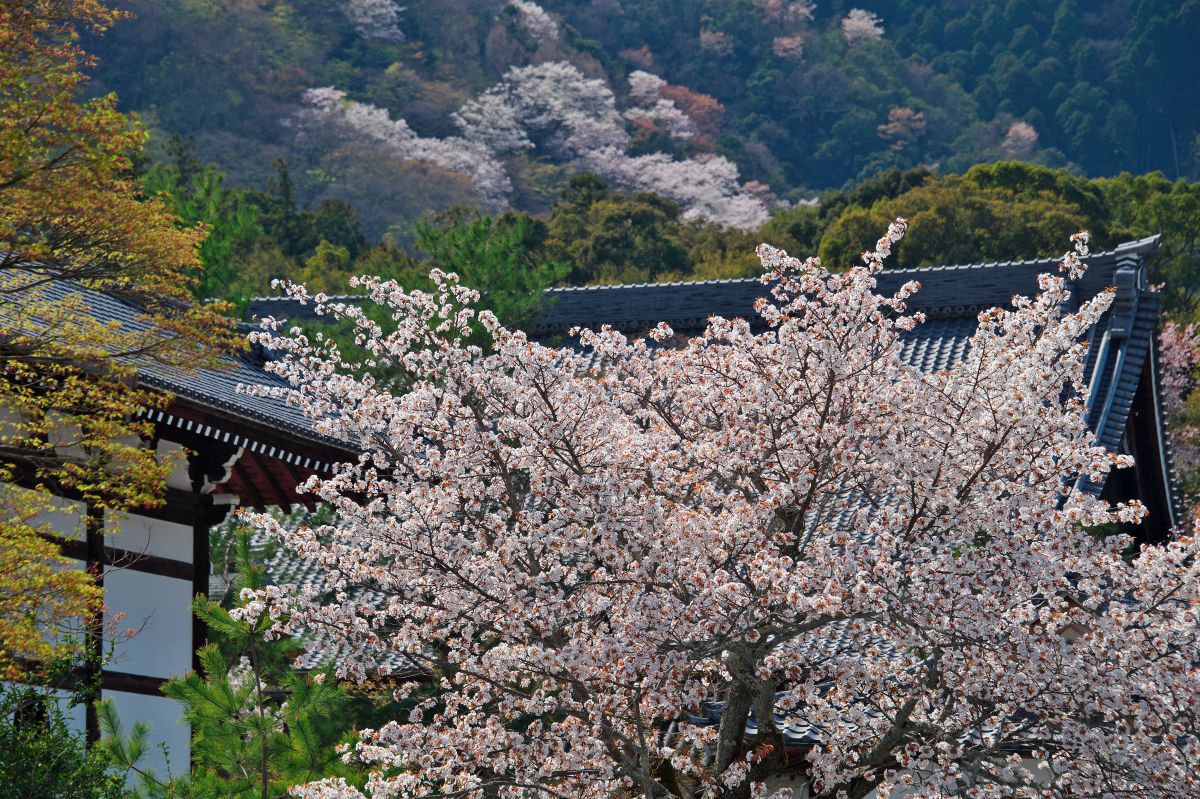 天龍寺（京都府）