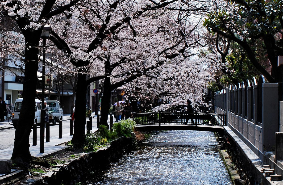 木屋町通り（京都府）