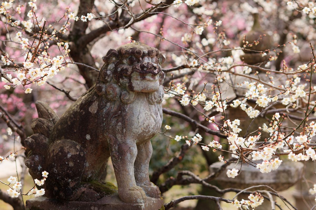 北野天満宮（京都府）