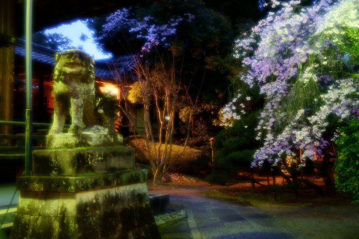 向日神社