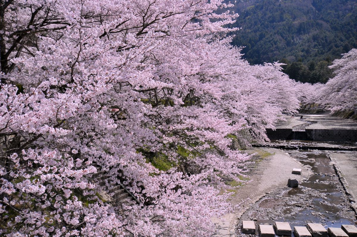 和らぎの道（京都府）