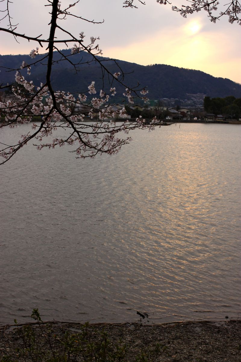 広沢池（京都府）