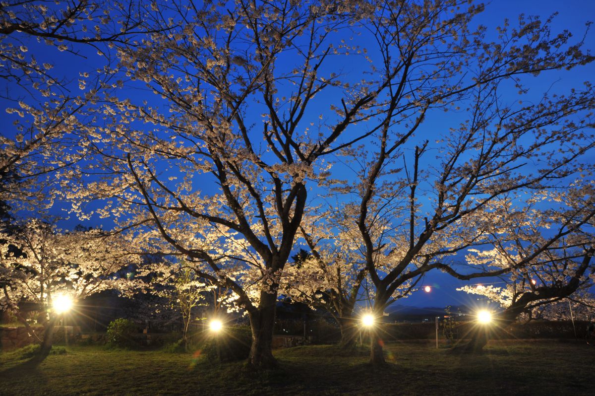 田丸城跡（三重県）