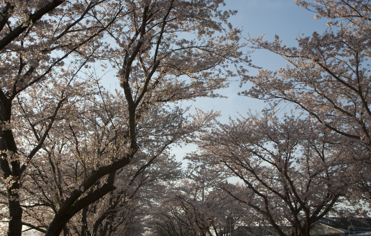 鍋田川