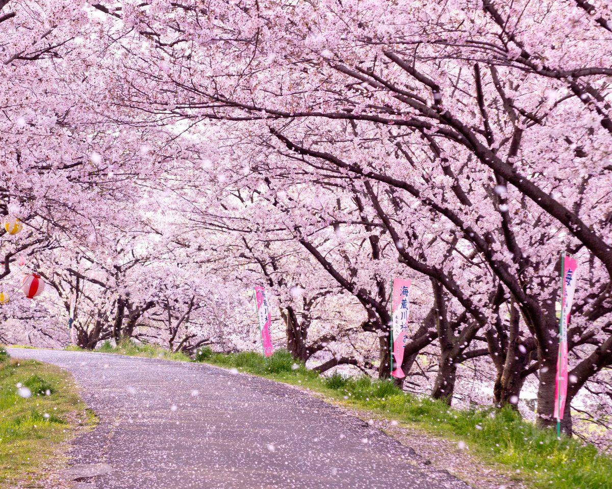 海蔵川（三重県）