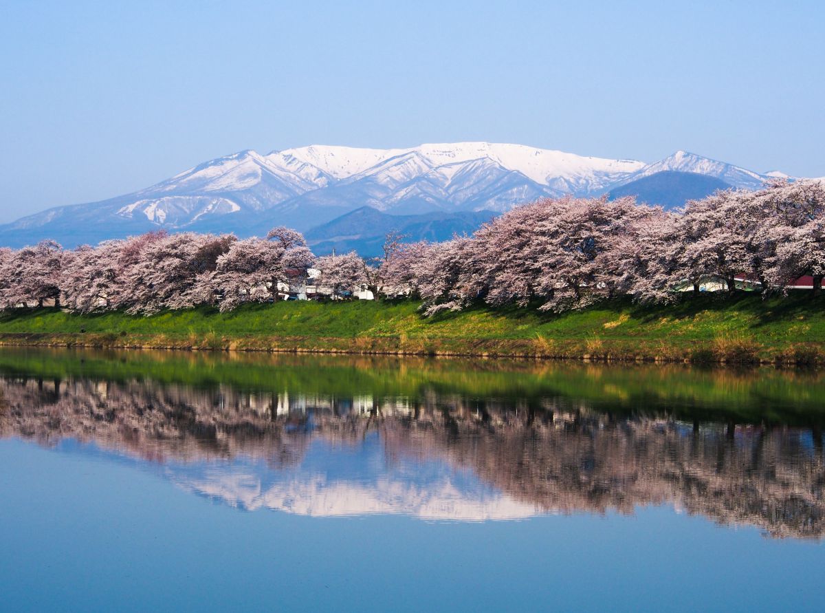 一目千本桜
