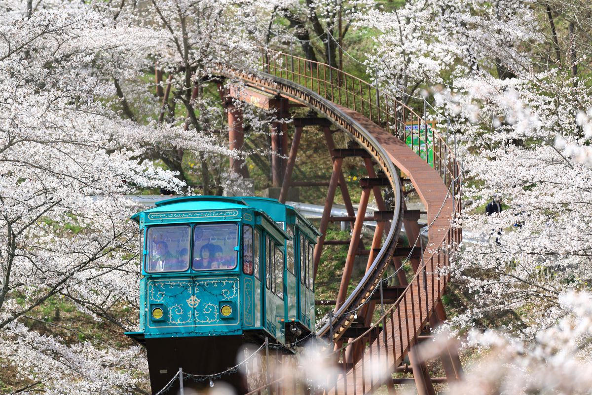 船岡城址公園