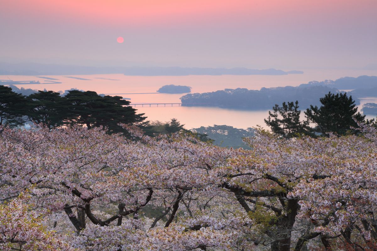 松島西行戻しの松公園