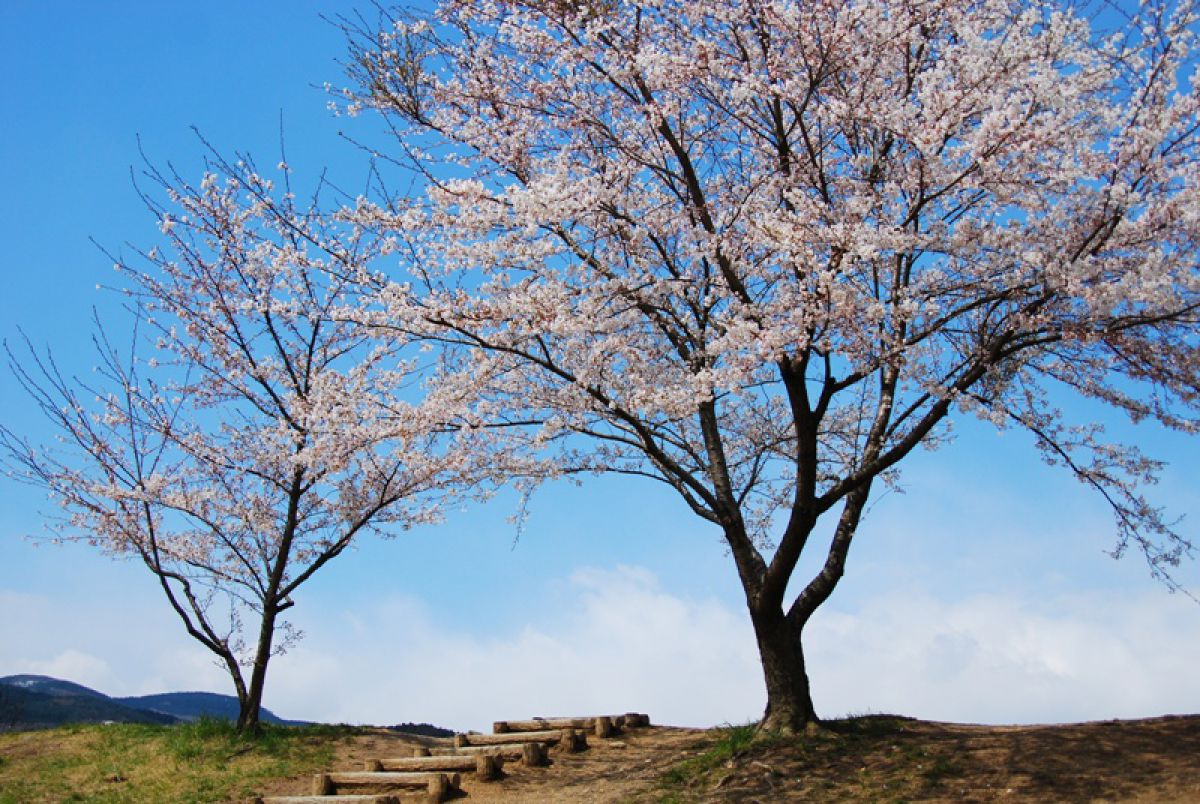 益岡公園