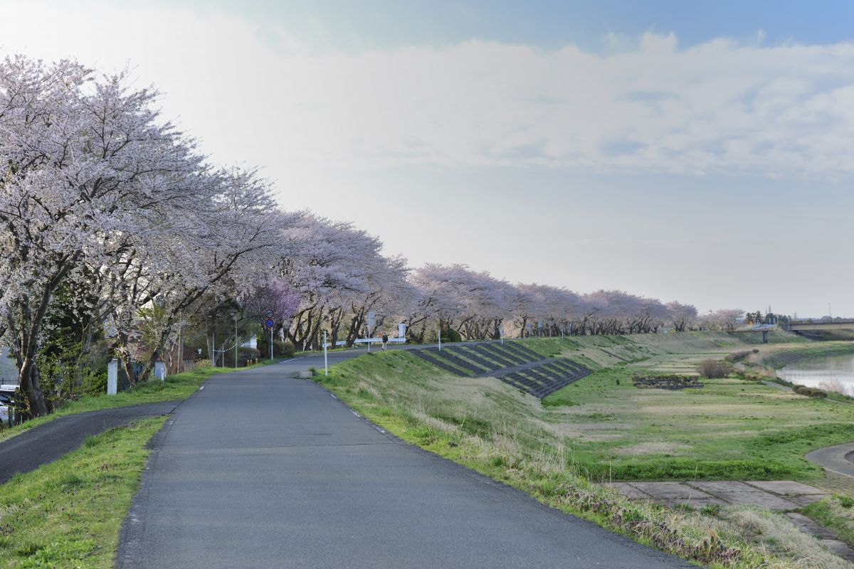 迫川（宮城県）